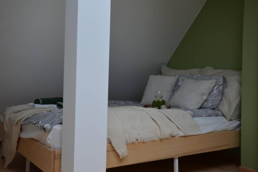 Ines Apartament Two Levels 105M2 In The Old Town Wi-Fi, Olsztyn  Zewnętrze zdjęcie